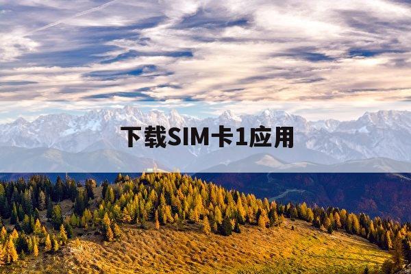 下载SIM卡1应用(sim卡1应用怎么下载)下载