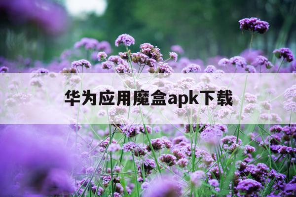 华为应用魔盒apk下载(华为应用魔盒apk下载安装)下载