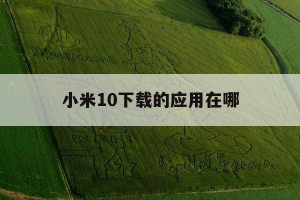 小米10下载的应用在哪(小米10安装的应用找不到)下载