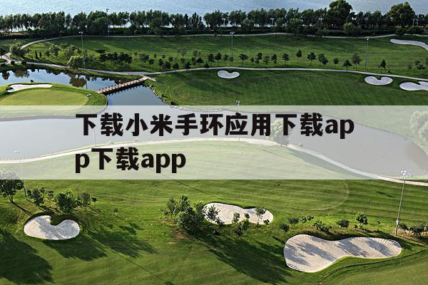 下载小米手环应用下载app下载app的简单介绍