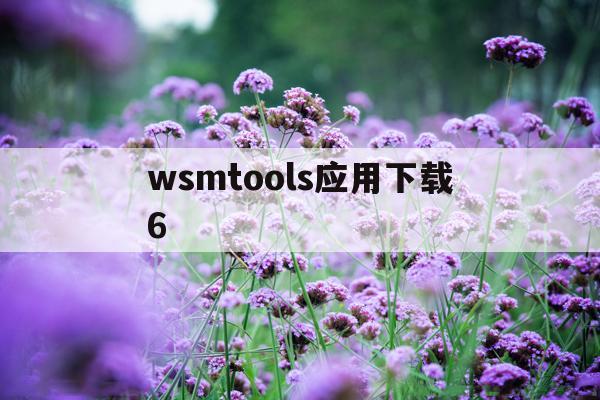 wsmtools应用下载6(msmdownloadtoolv下载)下载