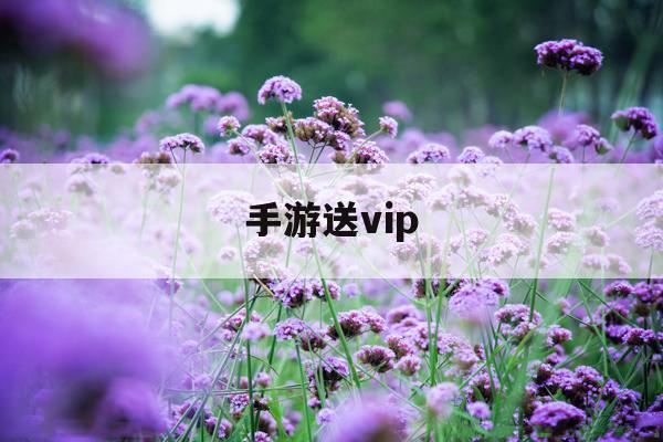 手游送vip(手游送首充平台折扣)下载