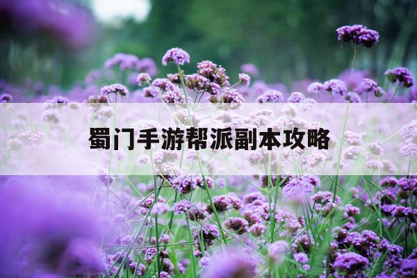 蜀门手游帮派副本攻略(蜀门手游帮派副本攻略大全)下载